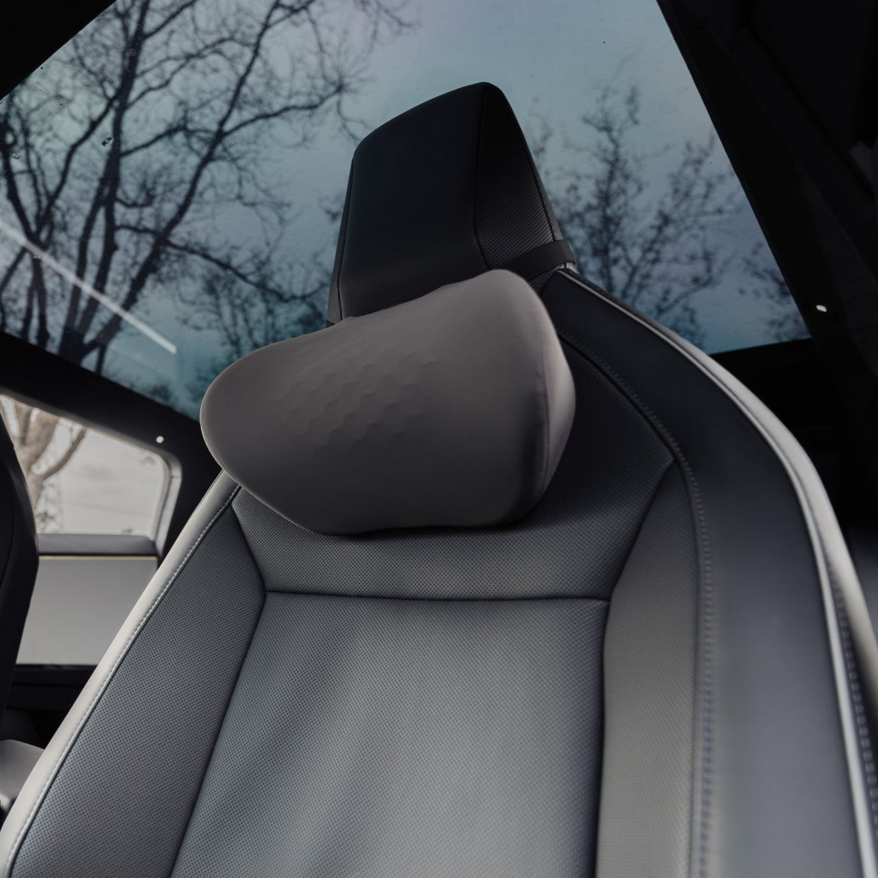 Car Pillow for Tesla - Storming Gravity