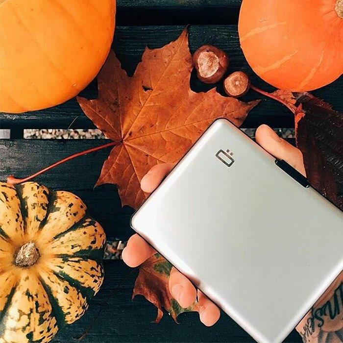 ogon-big-stockholm-card-case-silver