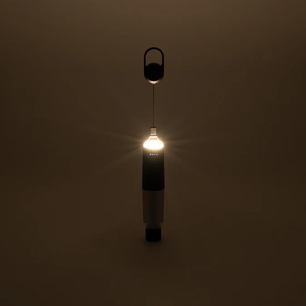 Celes LED Light