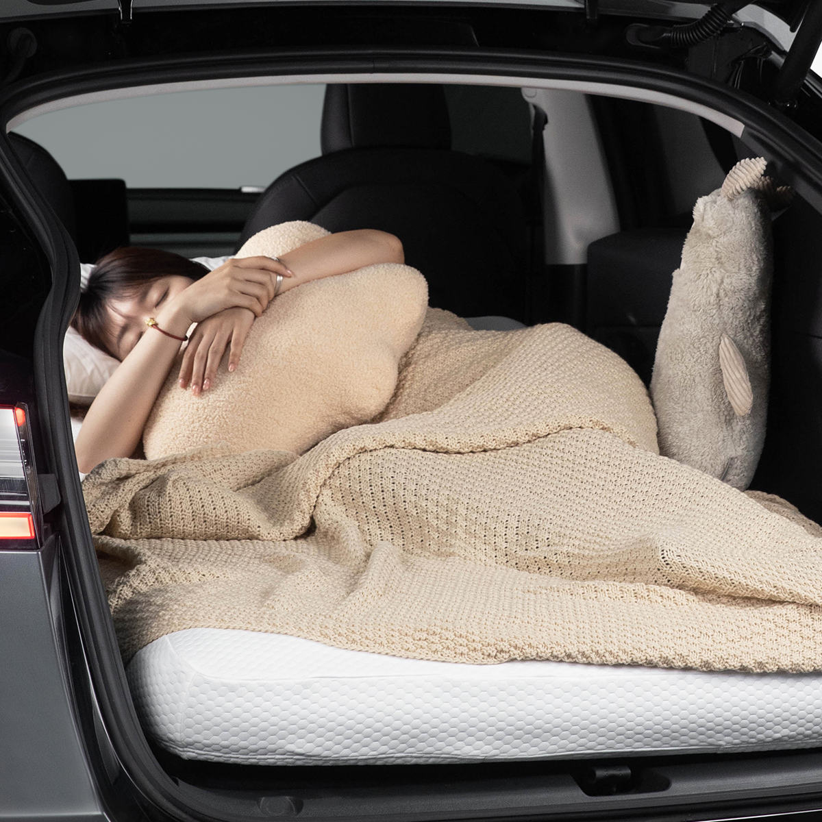 Camping Mattress Air Bed for Tesla Model Y