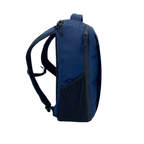Cicada 0426 (Bespoke EcoPak Blue)