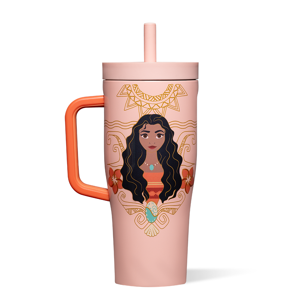 Disney Princess Leakproof Cruiser 22oz
