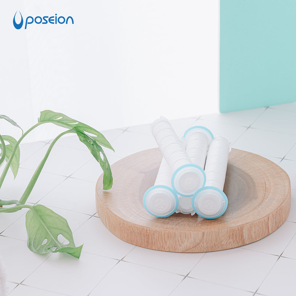 Filter for BT100 Poseion Shower Head