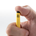 Pro Stylus 2