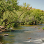 CineBloom Variable ND Filters