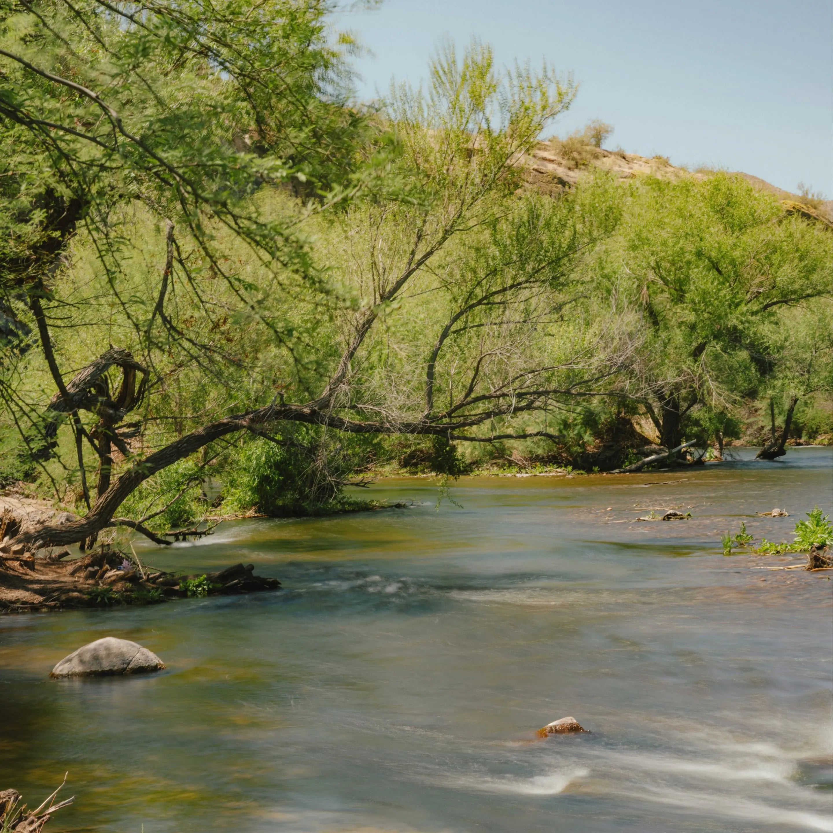 CineBloom Variable ND Filters - Storming Gravity