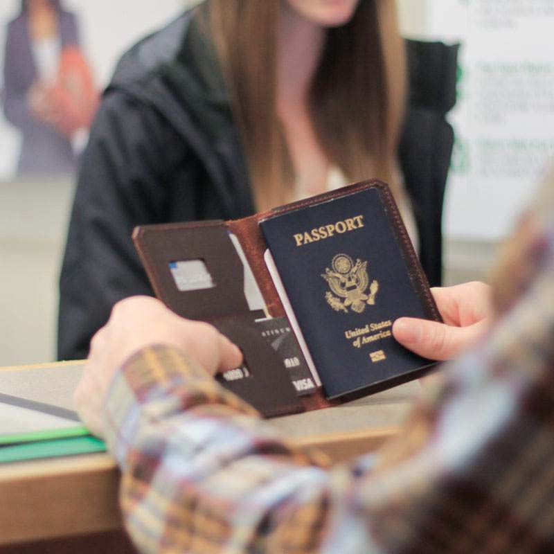 Explorer Passport Wallet - Brown