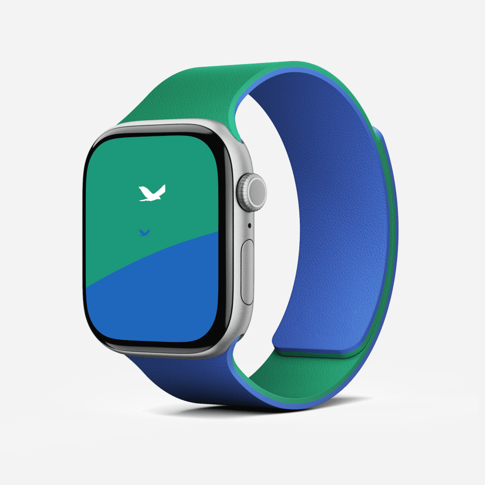 Snap Duo Watch Bands - Storming Gravity