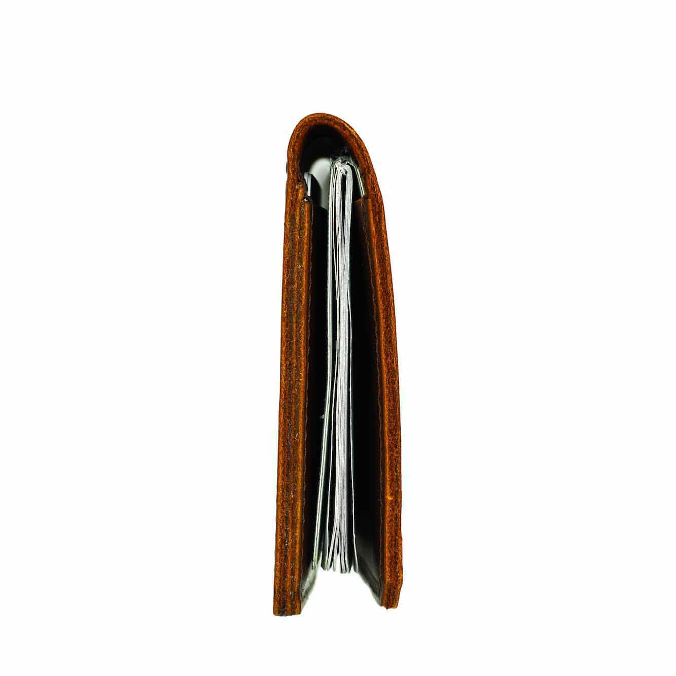 Explorer Passport Wallet - Brown