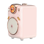 Divoom Fairy-OK Portable Bluetooth Speaker with Microphone - Storming Gravity