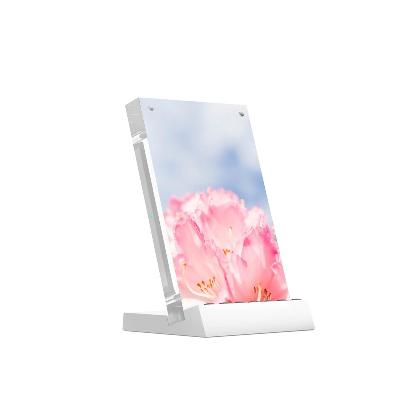 PowerPic mod Wireless Charger - Storming Gravity