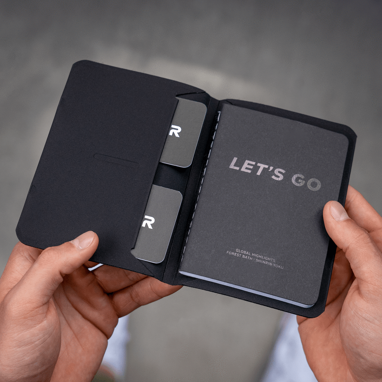 BORDERLESS Passport / Notebook Holder - Storming Gravity